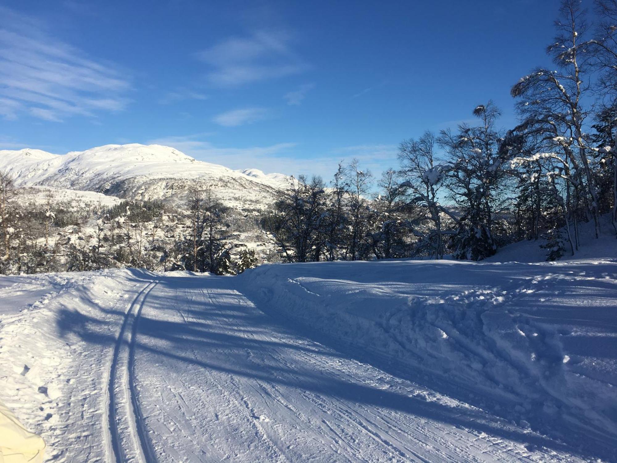 Kvamskogen & Hardanger Holliday Homes * Norheimsund
