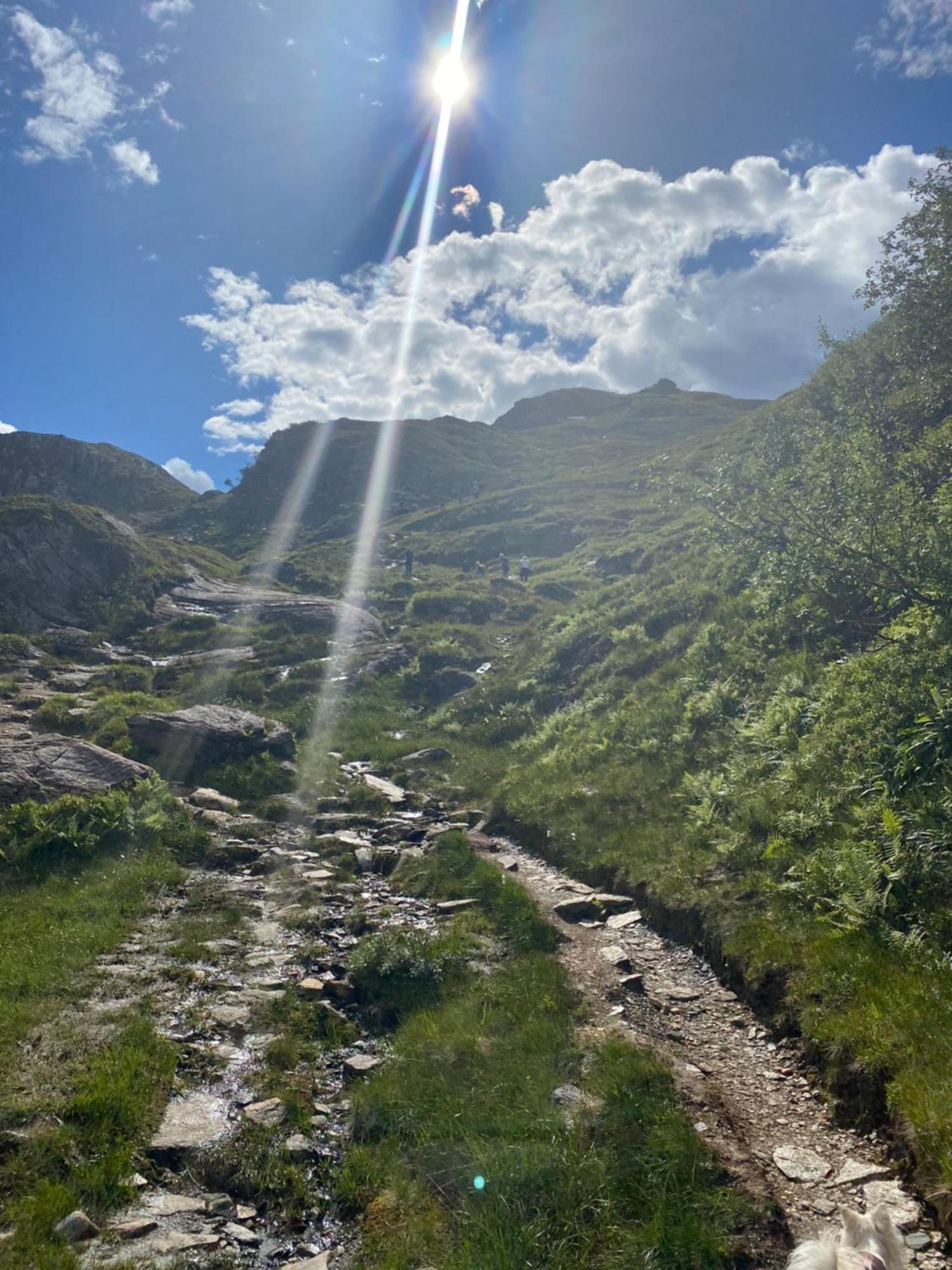 Ferienhaus Kvamskogen & Hardanger Holliday Homes Norheimsund